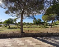 Reventa - Apartamento - Torrevieja - El Chaparral