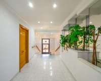 Reventa - Apartamento - Torrevieja - Estacion de autobuses