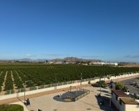 Reventa - Apartamento - Torrevieja  - Lago Jardin