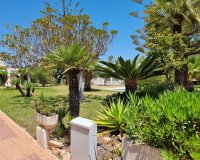 Reventa - Apartamento - Torrevieja  - Los Balcones