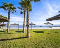 Reventa - Apartamento - Torrevieja  - Punta Prima