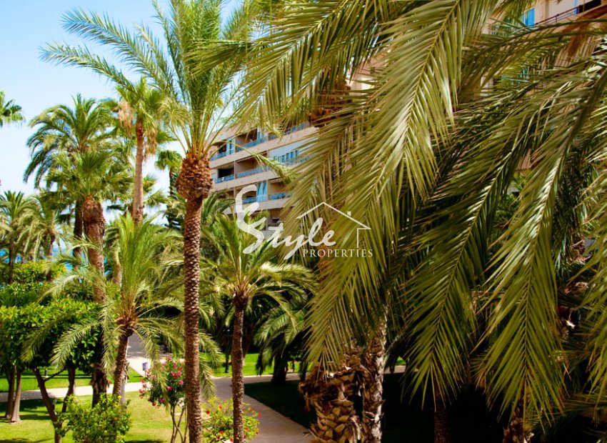 Reventa - Apartamento - Torrevieja  - Torrevieja