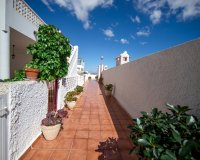 Reventa - Apartamento - Torrevieja  - UR TORRE DEL MORO 2