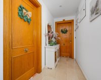 Reventa - Apartamento - Torrevieja