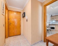 Reventa - Apartamento - Torrevieja