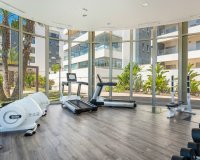Reventa - Apartamento - Villamartín - Los Dolses