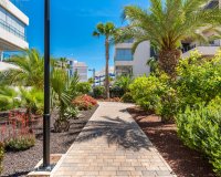Reventa - Apartamento - Villamartín - Los Dolses