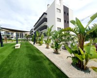 Reventa - Apartamento - Villamartin, Orihuela Costa - Villamartin