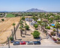 Reventa - Finca Country Property - Alicante - Catral