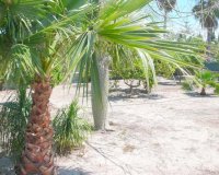 Reventa - Finca Country Property - Alicante - Dolores