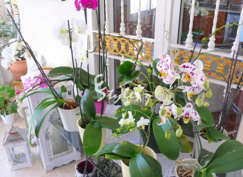 Reventa - Finca Country Property - Alicante - Dolores