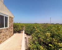 Reventa - Finca Country Property - San Miguel De Salinas
