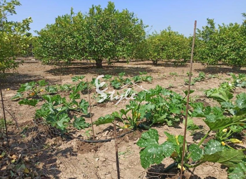 Reventa - Finca Country Property - San Miguel De Salinas