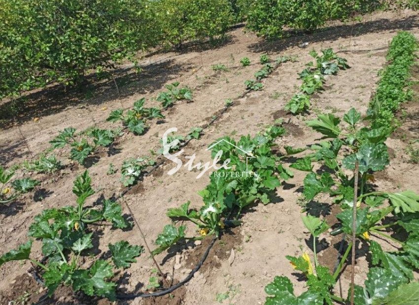 Reventa - Finca Country Property - San Miguel De Salinas