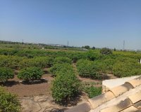 Reventa - Finca Country Property - San Miguel De Salinas