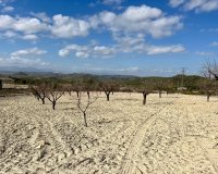 Reventa - Parcela - Bullas - Costa Cálida