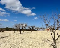 Reventa - Parcela - Bullas - Costa Cálida