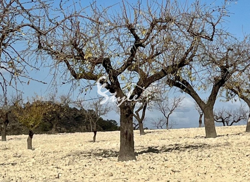 Reventa - Parcela - Bullas - Costa Cálida