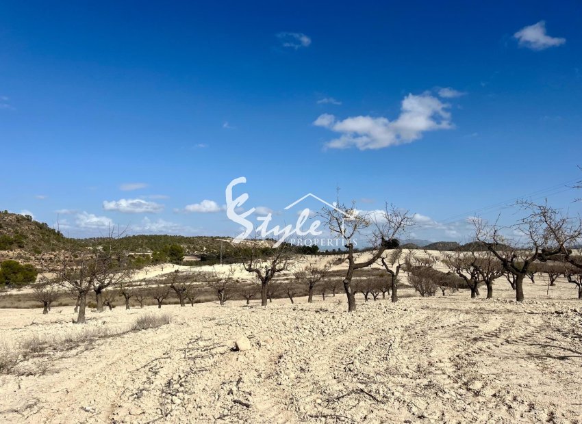 Reventa - Parcela - Bullas - Costa Cálida