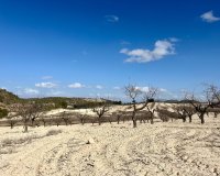 Reventa - Parcela - Bullas - Costa Cálida