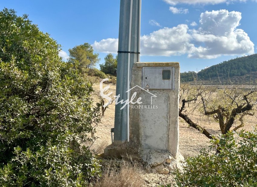 Reventa - Parcela - Bullas - Costa Cálida