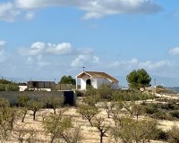 Reventa - Parcela - Bullas - Costa Cálida