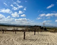 Reventa - Parcela - Bullas - Costa Cálida