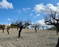Reventa - Parcela - Bullas - Costa Cálida