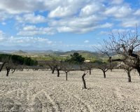 Reventa - Parcela - Bullas - Costa Cálida