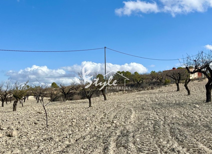 Reventa - Parcela - Bullas - Costa Cálida