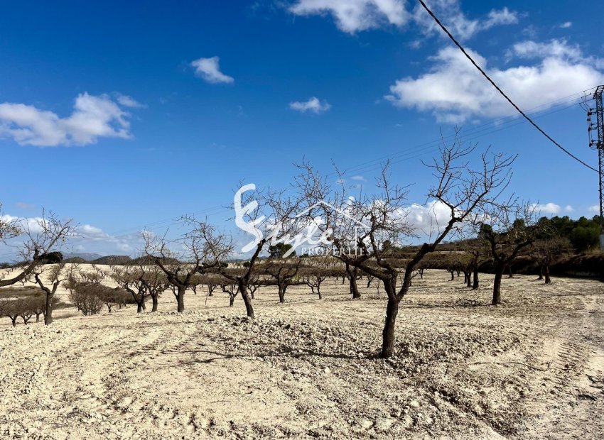 Reventa - Parcela - Bullas - Costa Cálida