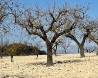 Reventa - Parcela - Murcia - Costa Cálida