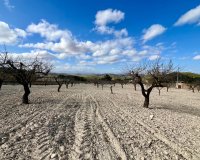 Reventa - Parcela - Murcia - Costa Cálida