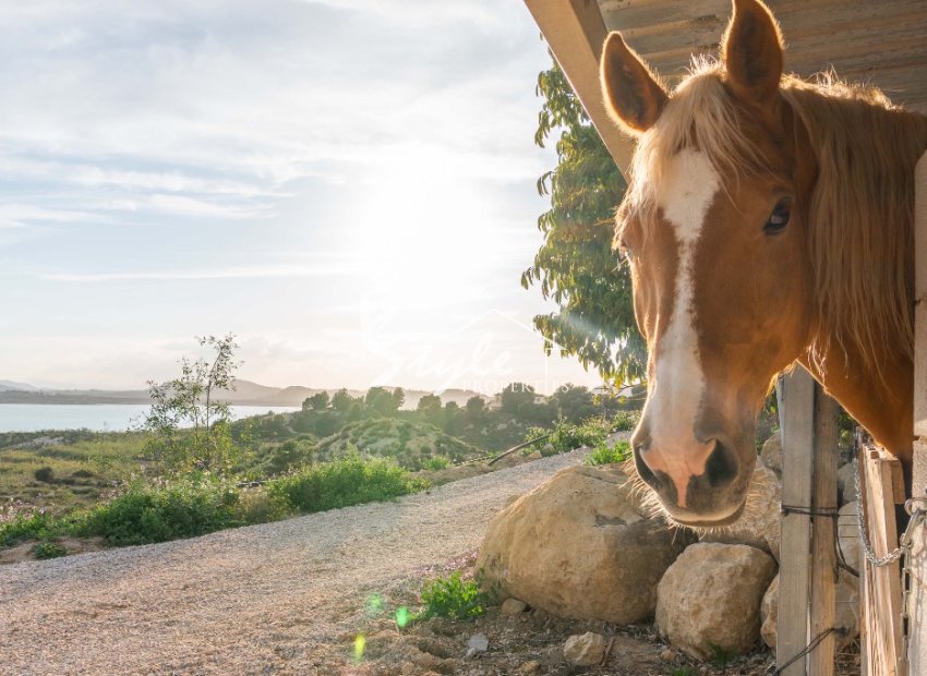 Reventa - Villa - Costa Blanca - Orihuela Costa