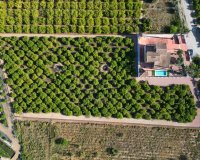 Reventa - Villa - Orihuela - Correntías Medias