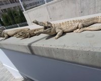 Reventa - Villa - Orihuela-Costa - Entre Naranjos Vistabella Golf