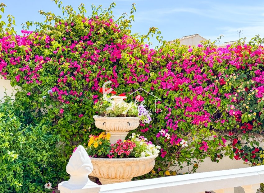 Reventa - Villa - Punta Prima