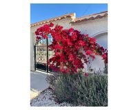 Reventa - Villa - Torrevieja  - San luis