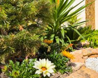 Short Term Rentals - Apartamento - Punta Prima - La Recoleta