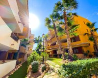 Short Term Rentals - Apartamento - Punta Prima - La Recoleta