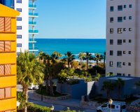 Short Term Rentals - Apartamento - Punta Prima - La Recoleta