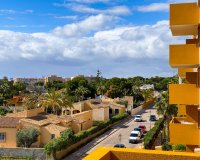 Short Term Rentals - Apartment - Punta Prima - La Recoleta