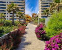 Short Term Rentals - Apartment - Punta Prima - Panorama Mar