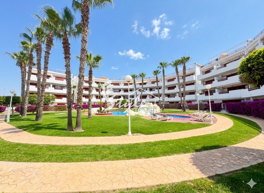 Великолепные апартаменты с 2 спальнями в El Rincón, Playa Flamenca с бассейном и видом на море. Коста Бланка, Испания. ID 2716