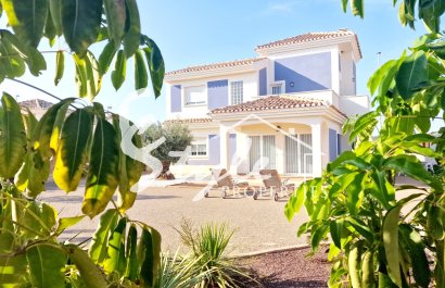Villa - New build - Murcia - Purias