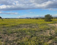 Вторичное жилье - Apartamento - Orihuela Costa - Villamartin