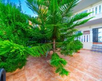 Вторичное жилье - Apartamento - Ориуэла Коста  - Ломас де Кабо Роиг