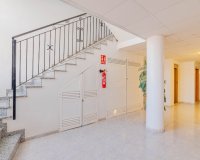 Вторичное жилье - Apartamento - Плайя Фламенка - Playa Flamenca