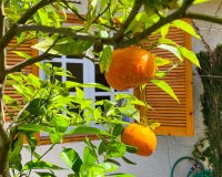 Вторичное жилье - Apartamento - Пунта Прима