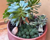 Вторичное жилье - Apartamento - Пунта Прима